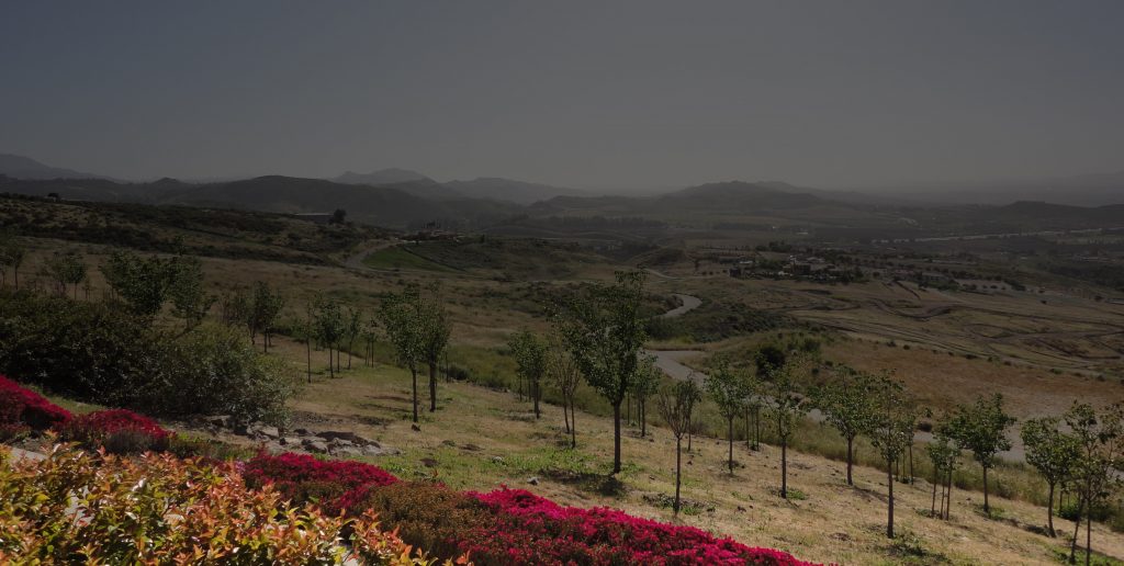 Simi Valley Real Estate Agent Karen Troop